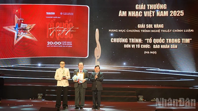 Programul concertului „Patria în inima mea” a primit premiul Solul de Aur din partea Asociației Muzicienilor din Vietnam.