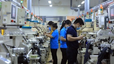 Oportunidades para reposicionar las empresas de electrónica vietnamitas.