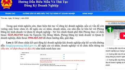 เมืองไฮฟองรองรับการจดทะเบียนธุรกิจออนไลน์