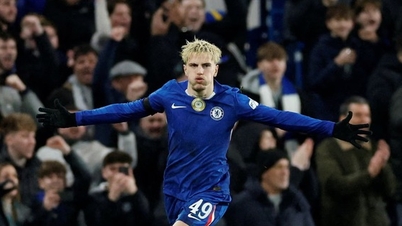 Spielvorschau: Chelsea gegen Brentford (22:00 Uhr, 17. Januar), Premier League 2025-2026