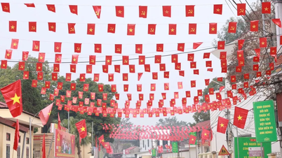 La seule commune insulaire de Hanoï est ornée de drapeaux et de fleurs pour accueillir le 14e Congrès national du Parti.