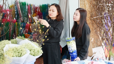Bac Ninh: Rušný trh s květinami a okrasnými rostlinami před Tetem