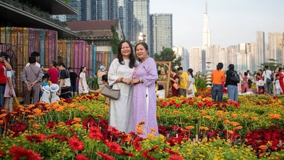 Phố phường TP.HCM rực rỡ sắc xuân