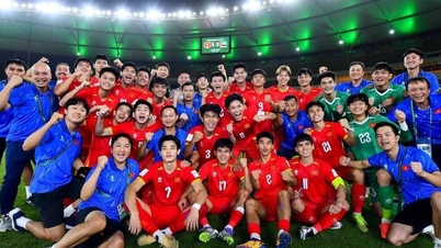 Segundo informações da mídia coreana, o técnico Kim Sang Sik levará a seleção sub-23 do Vietnã à vitória no Campeonato Asiático Sub-23.