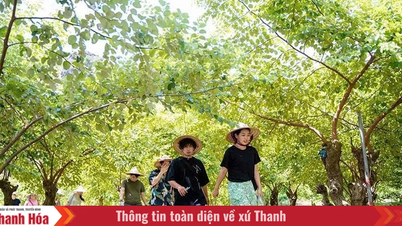Pariwisata meningkatkan nilai produk pertanian lokal.