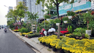 Ho Chi Minh City: Olśniewająca wystawa kwiatów i roślin ozdobnych z okazji Lunarnego Nowego Roku (Roku Konia) 2026.
