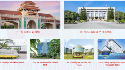 2026'da Vietnam'ın en iyi 10 üniversitesi: Sadece bir özel üniversite devlet üniversitesi kategorisine girebilecek.