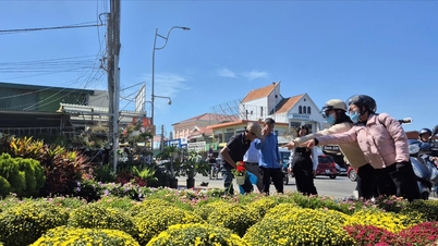 The market for flowers and ornamental plants for Tet (Lunar New Year) 2026 aims for simplicity and flexibility.