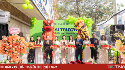 Phu Tho 社は現在、Chubb Life Vietnam のもう一つの専門的な金融アドバイス サービス拠点を所有しています。