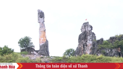 হন ভং ফু ঐতিহাসিক স্থান সম্পর্কিত তথ্য এবং অভিযোগ পরিদর্শন, পর্যালোচনা এবং প্রক্রিয়াকরণ।