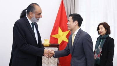 Vietnam mendorong kerja sama dengan Perserikatan Bangsa-Bangsa di bidang ilmu pengetahuan, teknologi, dan tata kelola kecerdasan buatan (AI).