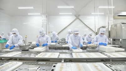 Cílem je dosáhnout exportu mořských plodů v roce 2026 ve výši 11,5 miliardy dolarů.