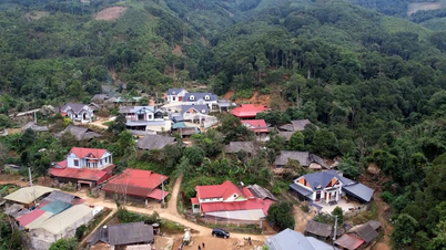 지속 가능한 빈곤 감소를 달성하기 위한 단호하고 체계적인 노력.