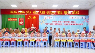 De jeugdvereniging van de provincie An Giang organiseerde het voorjaarsvrijwilligersprogramma in de wijk Thoi Son.