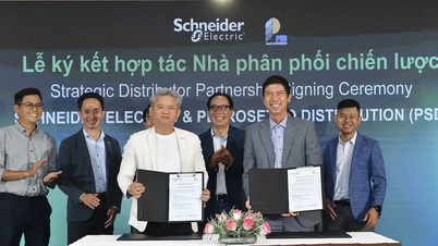 Schneider Electric und Petrosetco Distribution arbeiten zusammen, um Lösungen für die digitale Infrastruktur bereitzustellen.
