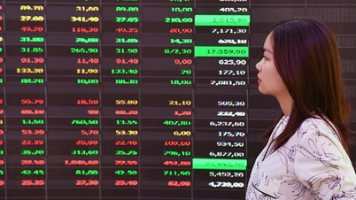 Chứng khoán tăng hơn 40% một năm, vì sao nhiều nhà đầu tư vẫn thua lỗ?
