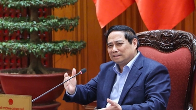 ファム・ミン・チン首相は希土類元素に関する国家戦略を策定する会議を主宰した。