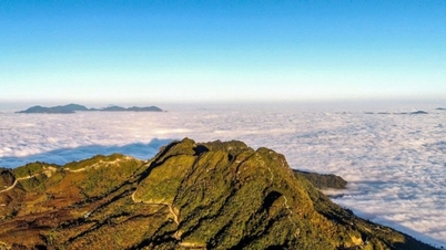 Chiêu Lầu Thi: Chinh phục đỉnh 'chín tầng thang' giữa biển mây Hoàng Su Phì
