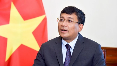 Vietnam akan memberikan sumbangan proaktif, positif, dan bertanggungjawab terhadap pelaksanaan Perjanjian Laut Lepas.