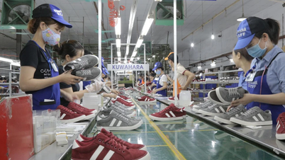 Giày Thượng Đình có CEO mới từ Vinaconex