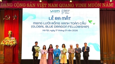 Từ “Giấc mơ hóa Rồng Xanh” đến ra mắt Mạng lưới Rồng Xanh Toàn cầu