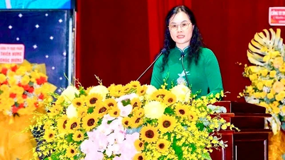 Giới thiệu bà Lê Thụy Mỵ Châu ứng cử đại biểu Quốc hội khóa XVI