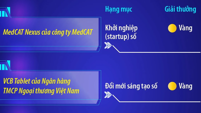 Вьетнам впечатляюще завоевал 3 награды ASEAN Digital Awards 2026.