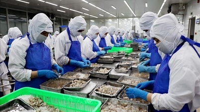 Die Exporte von Meeresfrüchten dürften nach einem Rekordwert von 11,3 Milliarden Dollar langfristig wieder ansteigen.