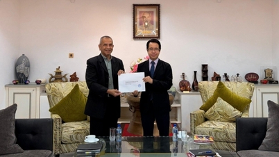 Brunei's partners and friends congratulate the 14th National Congress of the Communist Party of Vietnam.