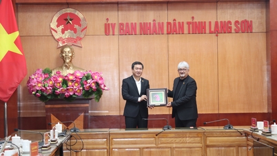 İl Halk Komitesi liderleri, Vietnam'daki Fransız Kalkınma Ajansı (AFD) heyetini kabul ederek onlarla birlikte çalıştı.