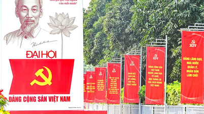 Hanoi, Partinin 14. Ulusal Kongresi'ni karşılamak için renklerle ışıldıyor.