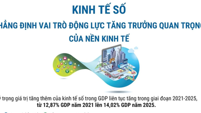 The digital economy affirms its role as a crucial driver of economic growth.