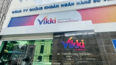 VikkiBankS báo lãi mỏng, đầu tư tài sản tài chính đã lỗ hơn một nửa