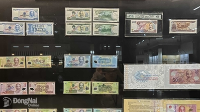 A moeda vietnamita no contexto da história nacional.