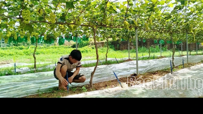 Utilisation rationnelle de l'eau dans la production agricole