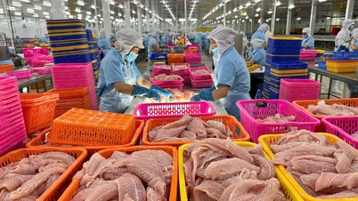 민간 부문 경제는 호치민시 성장의 원동력입니다.