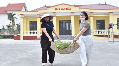 Xã An Trường làm đẹp môi trường chào mừng Đại hội XIV của Đảng