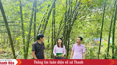 Menyesuaikan diri secara fleksibel, mengekalkan operasi kredit yang stabil, lancar dan cekap.