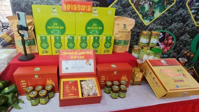 Bac Ninh: Odměňování tříhvězdičkových produktů OCOP, zvyšování podpory čtyřhvězdičkových produktů OCOP.