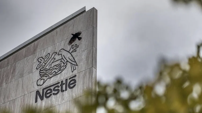 Singapore thu hồi lô sữa công thức cho trẻ sơ sinh của Nestlé và Dumex vì có độc tố