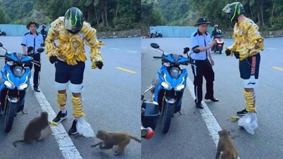 Turiștii străini înfășoară banane în jurul lor pentru a hrăni maimuțele sălbatice.