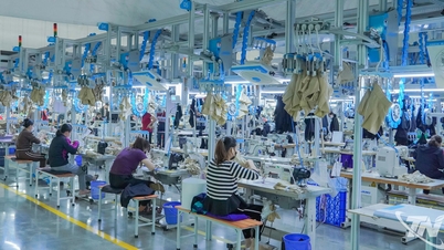 TNG đạt doanh thu kỷ lục