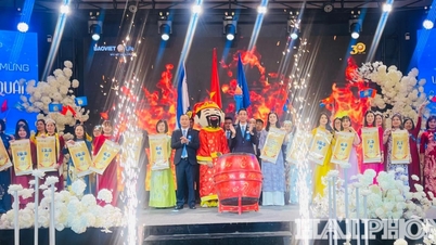 Bao Viet Hayat Sigortası Hai Duong'un geliri %5 arttı.
