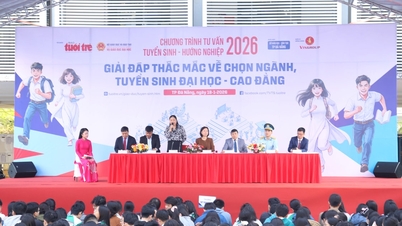 Kemasukan dan panduan kerjaya untuk pelajar Da Nang pada tahun 2026.