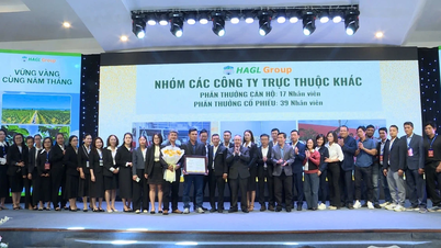 El Grupo Hoang Anh Gia Lai entrega 160 apartamentos a empleados que han realizado contribuciones significativas.