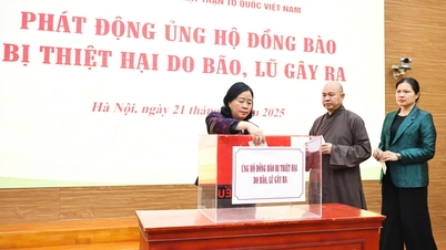 Ban Vận động cứu trợ Trung ương thông báo thời gian dừng tiếp nhận ủng hộ đồng bào bị thiệt hại do bão, mưa lũ gây ra