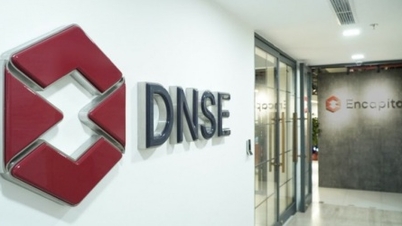 Rising brokerage fees lead to a sharp decline in DNSE Securities' profits in Q4 2025.