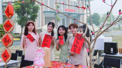 Casi 700 estudiantes vivieron el evento "Tet Vietnamita-Japonés 2026".