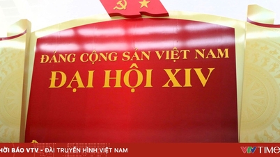 Infographie : Le XIVe Congrès national du Parti communiste vietnamien