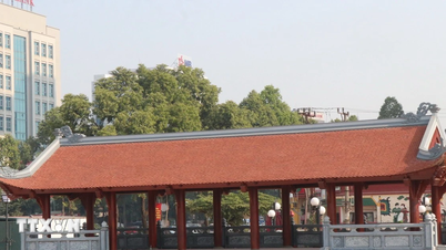第14回全国大会：文廟公園プロジェクトの建設活動が急速に進んでいます。